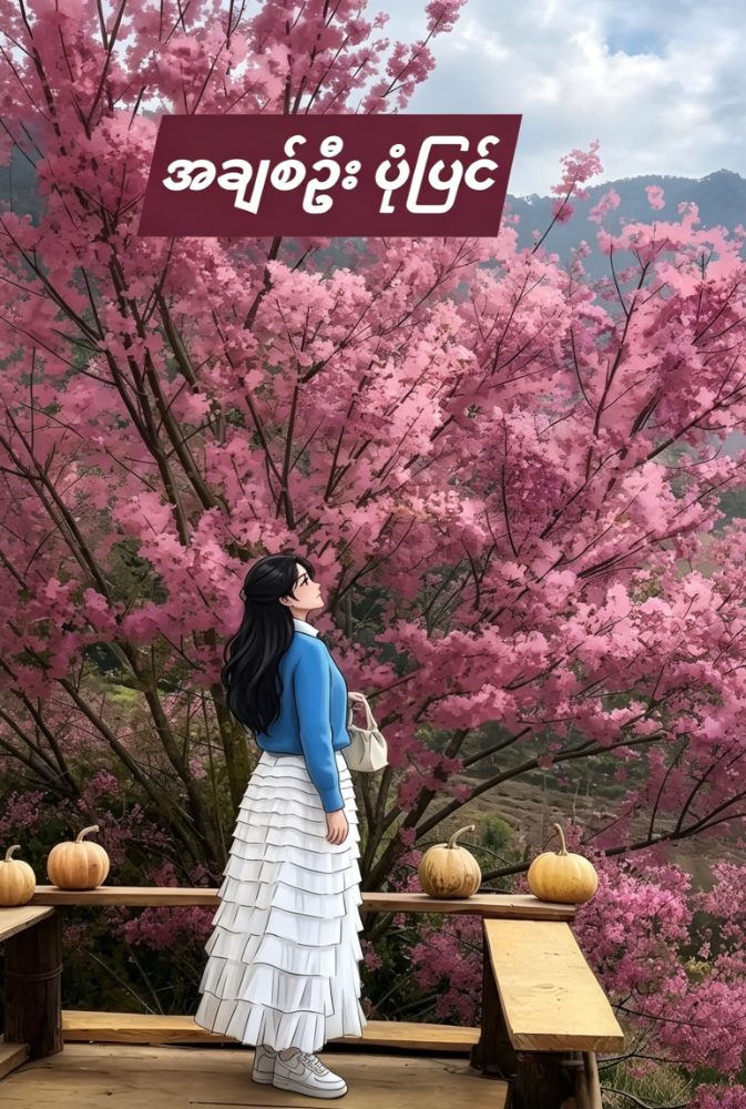 အချစ်ဦး ပုံပြင်
